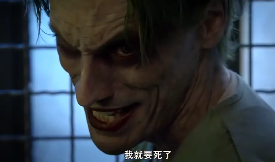 蝙蝠侠:死亦何难剧照1