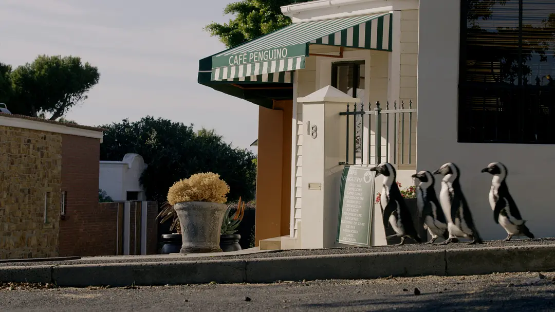 地球改变之年剧照2