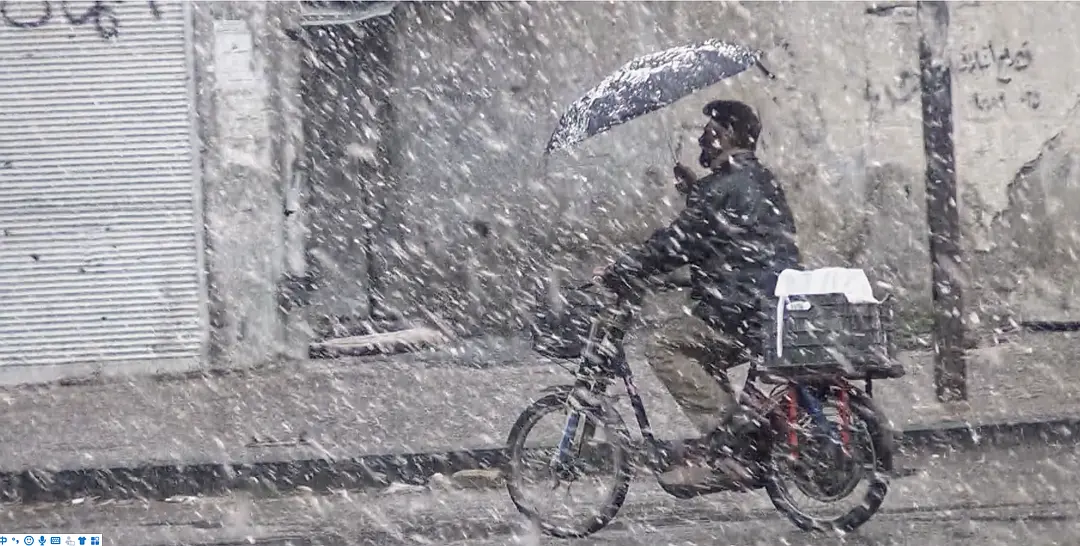 小巴勒斯坦——围城日记剧照3