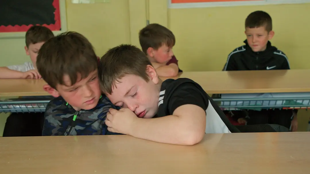 年轻的柏拉图剧照1