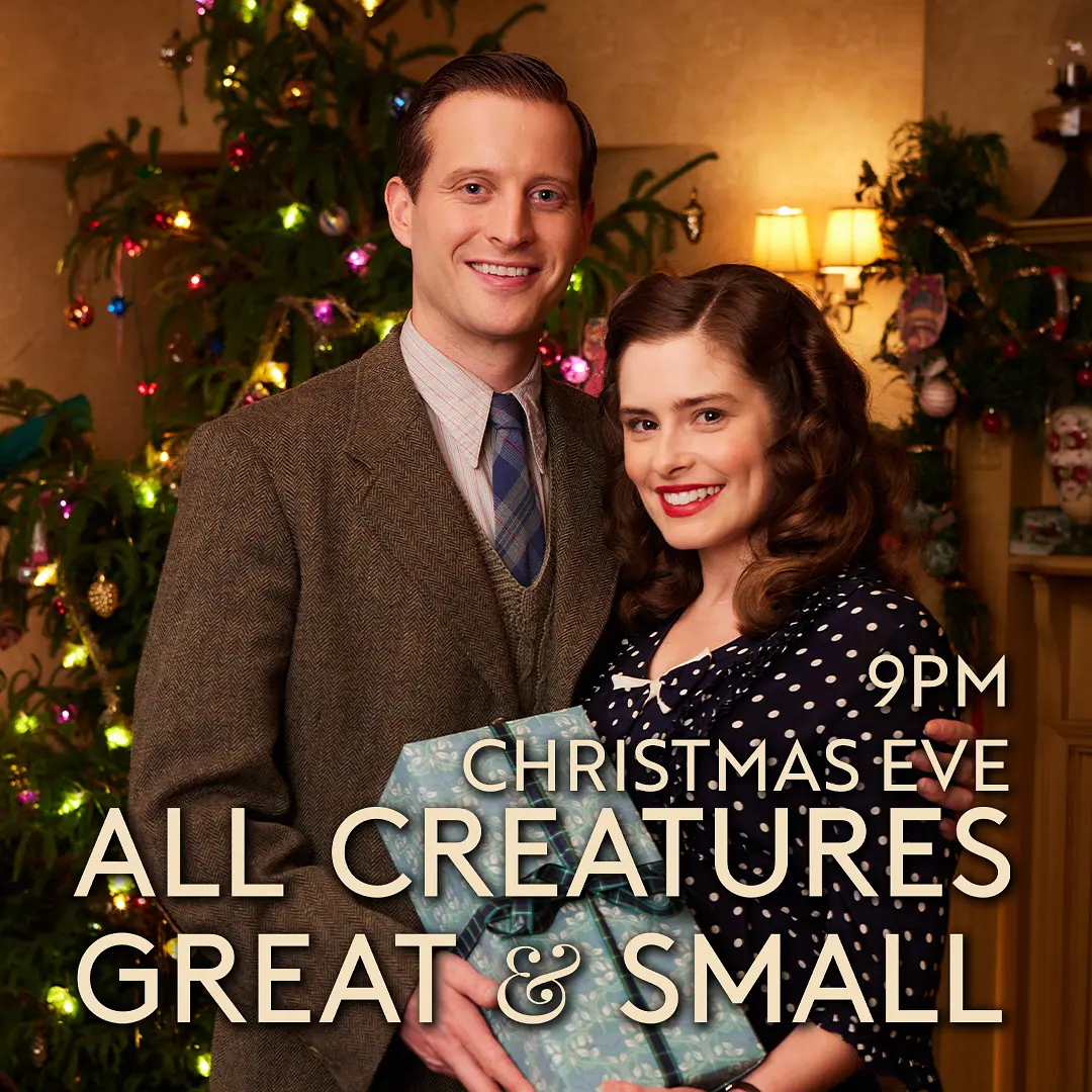 万物生灵：2021圣诞特别集剧照1