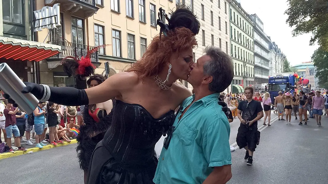 偏见与骄傲：瑞典酷儿电影史剧照1