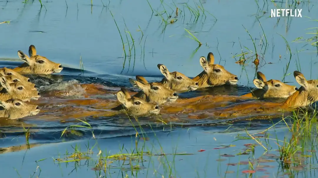 幸存的天堂剧照1