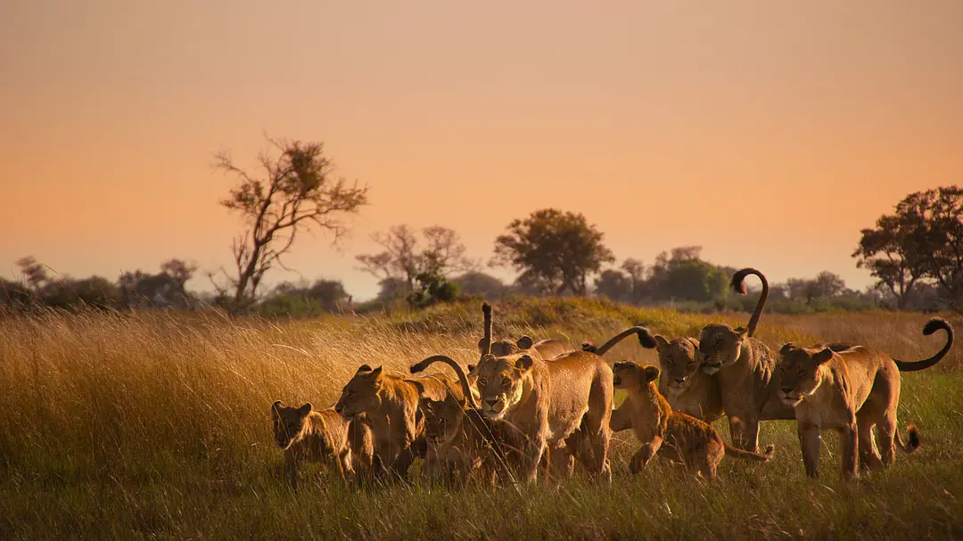 幸存的天堂剧照2