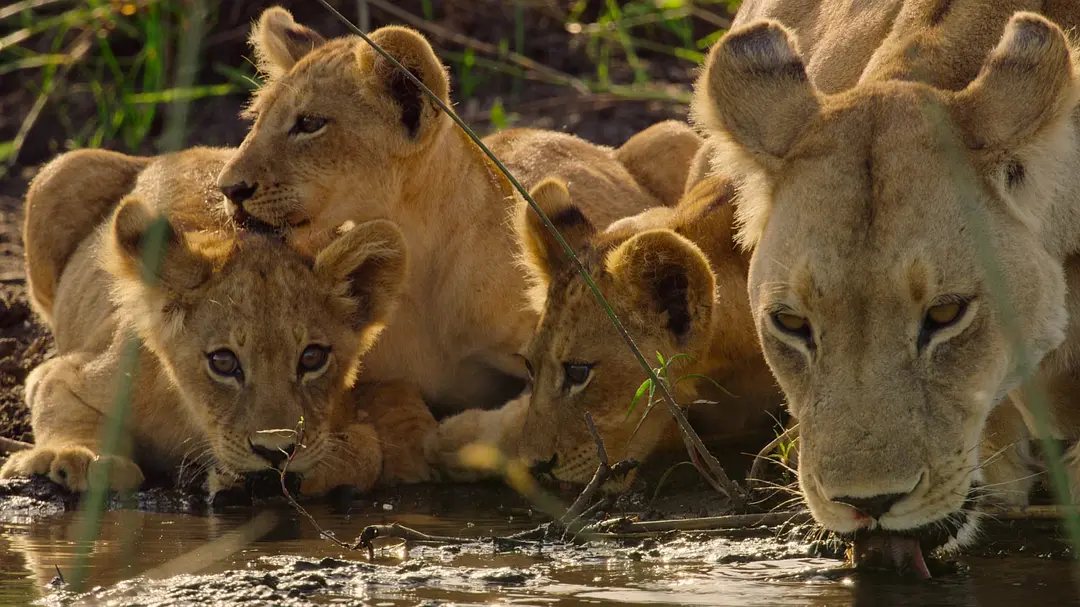 幸存的天堂剧照3