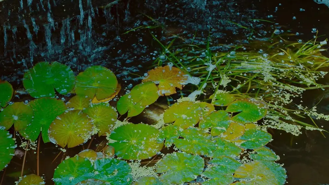 啊，朋友再见剧照1