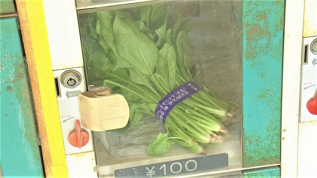 ドキュメント72時間：東京・練馬 野菜の自動販売機剧照2