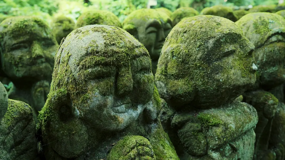 奇妙的苔藓世界剧照1