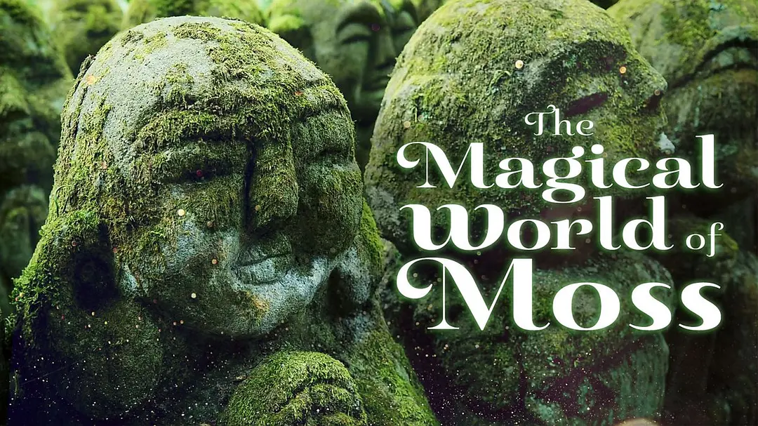 奇妙的苔藓世界剧照3