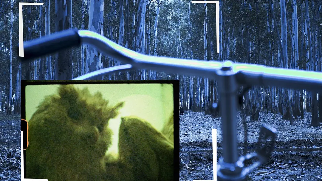 坠入时间锥的自行车手剧照1