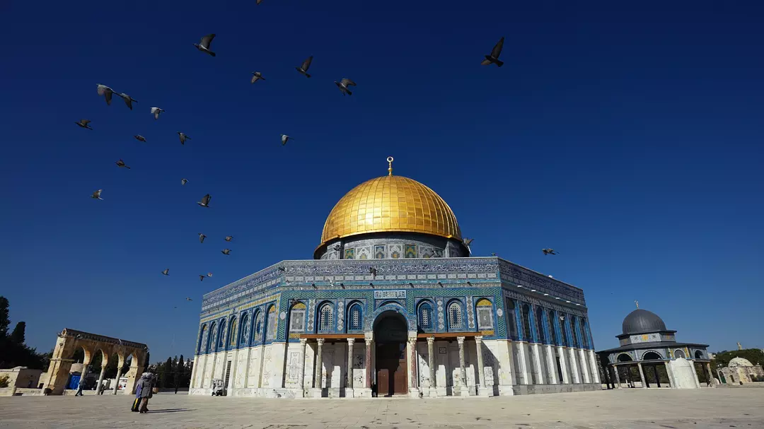 中东大宝荐2：迦南孤儿剧照3