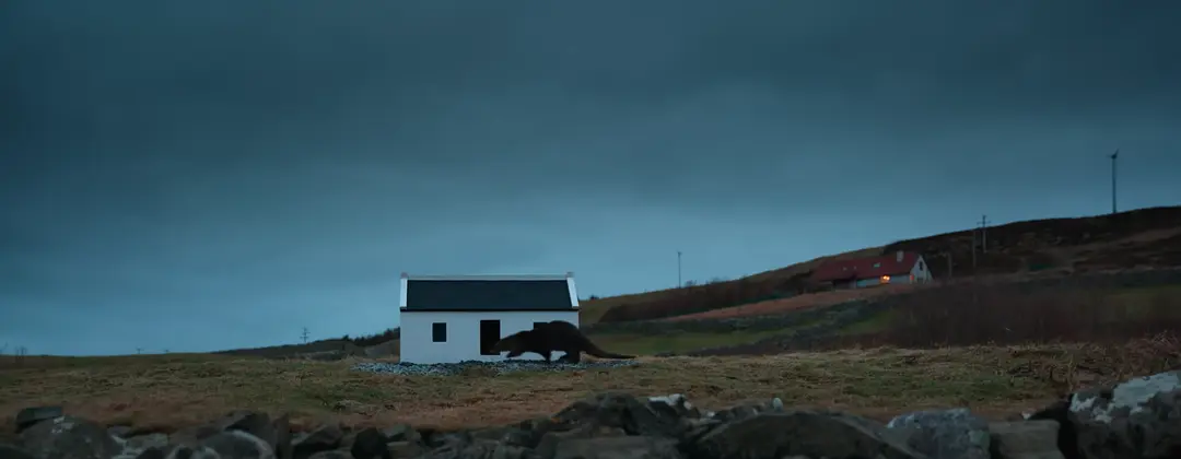 比利和莫莉：水獭的爱情故事剧照2
