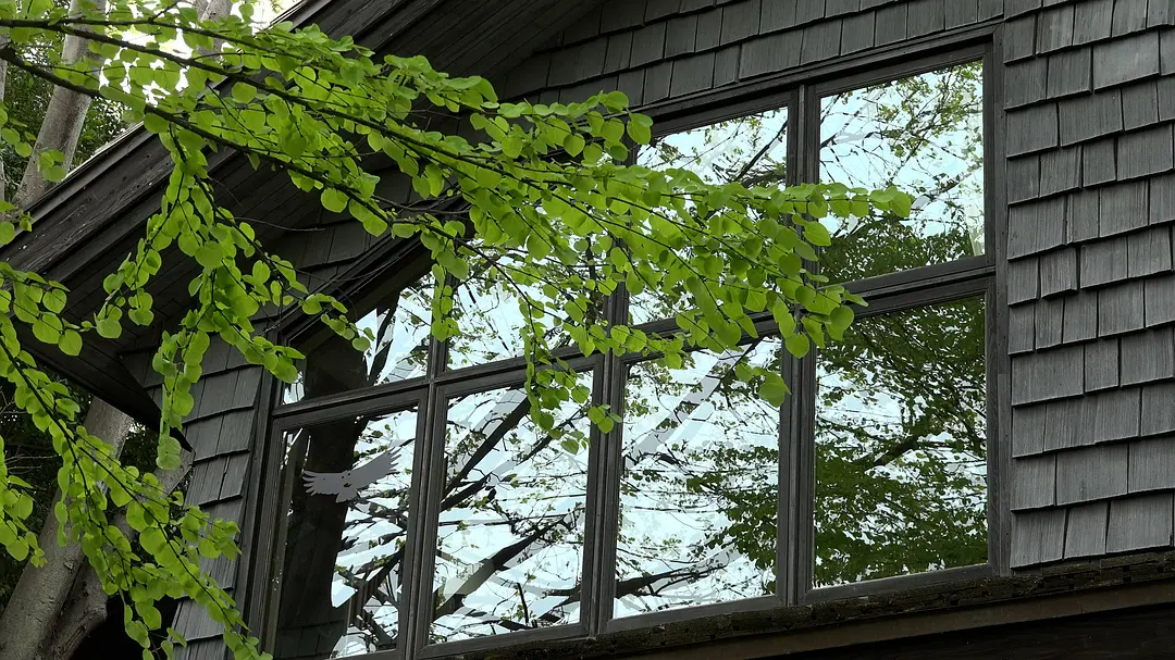 宫崎骏与苍鹭剧照1