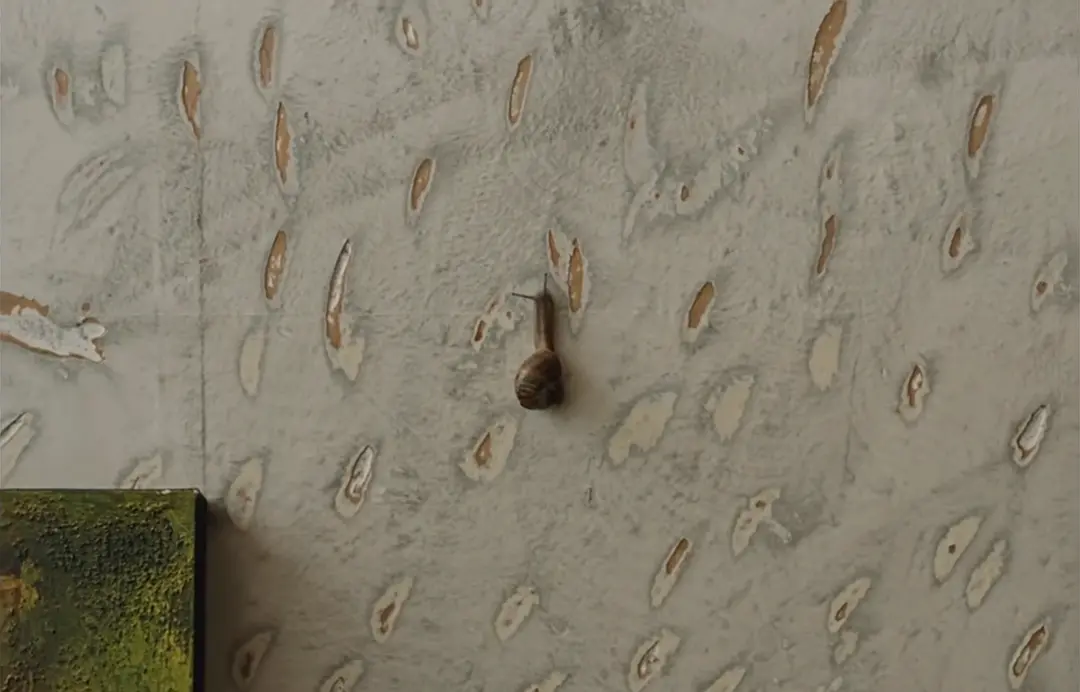 墙上的斑点剧照2