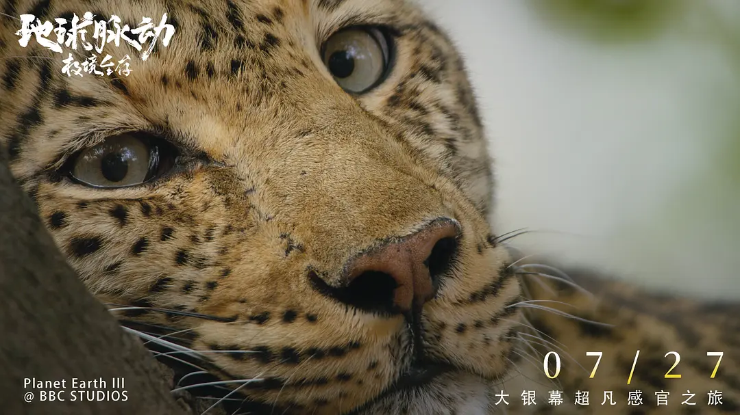 地球脉动：极境生存剧照2