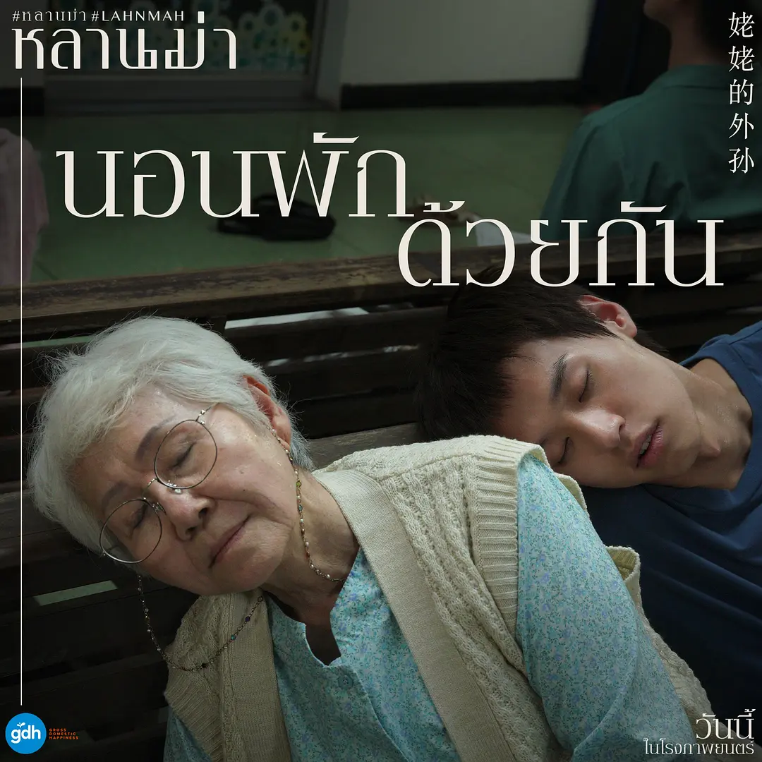 姥姥的外孙剧照3