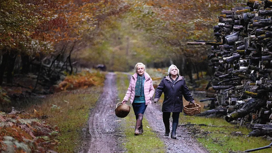 秋日何时来剧照1