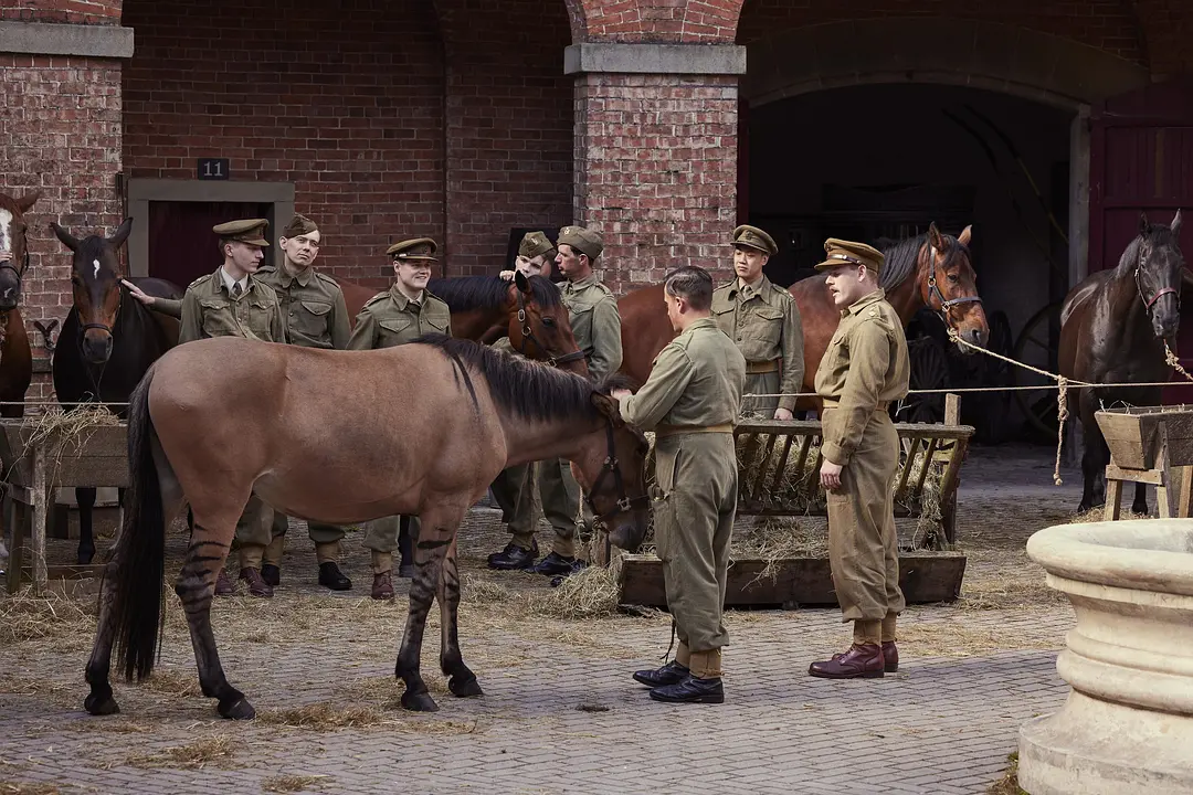 万物生灵：2024圣诞特别集剧照3