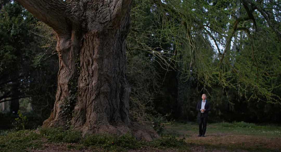 寂静的朋友剧照2