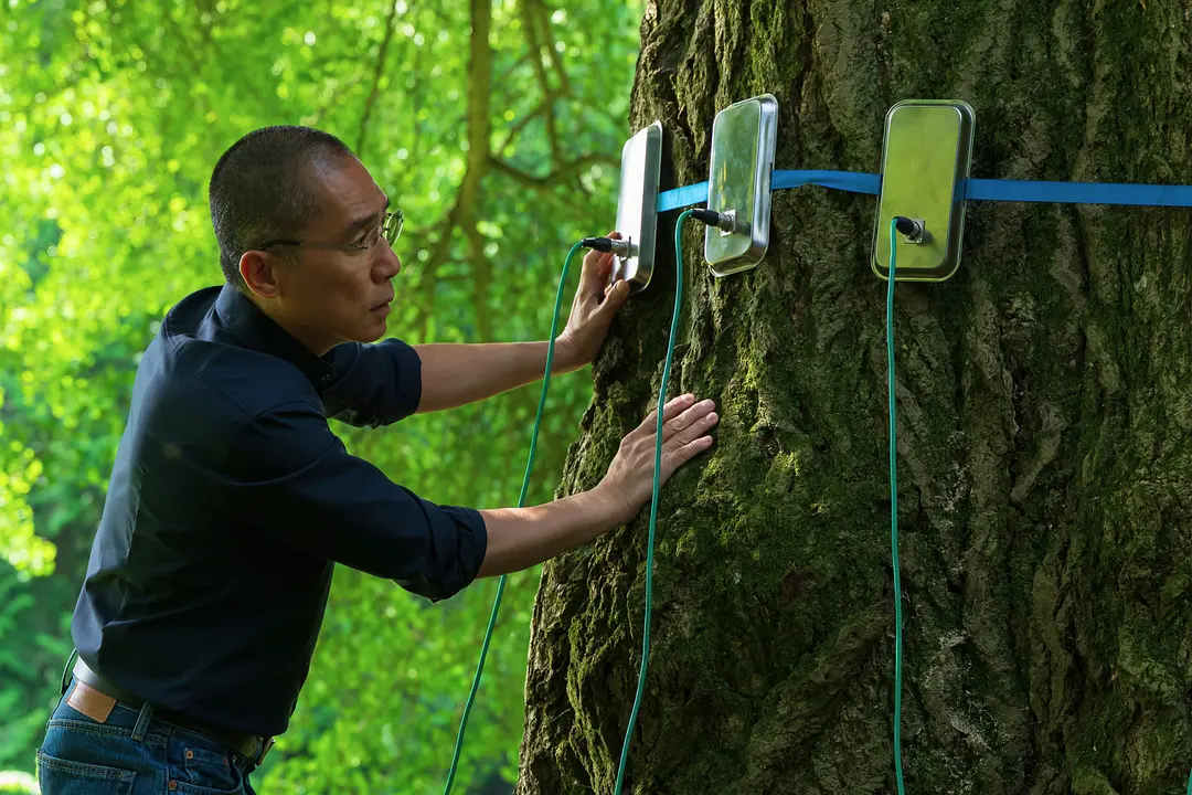 寂静的朋友剧照3