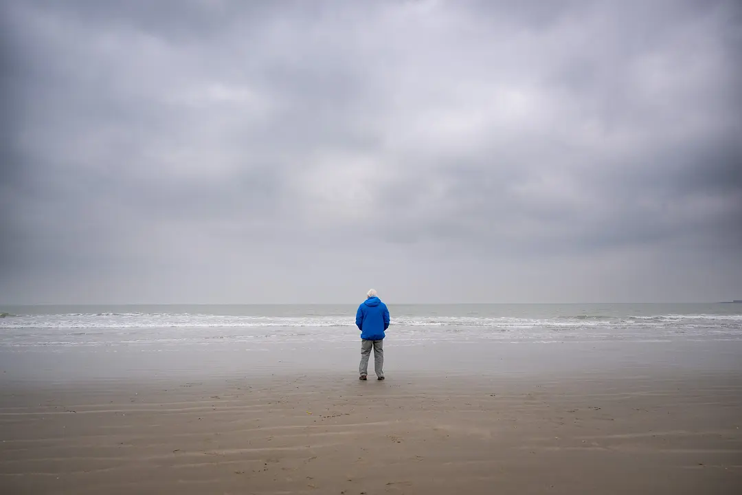 大卫·爱登堡：海洋剧照1