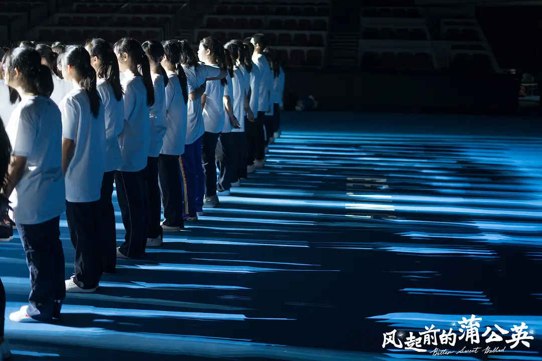 风起前的蒲公英剧照2