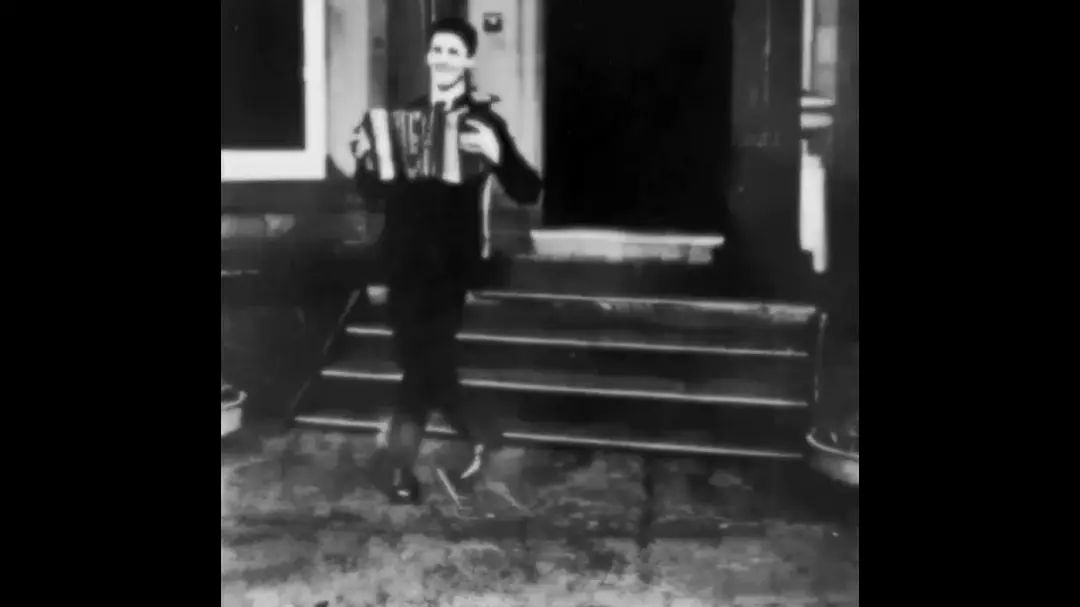 拉手风琴者剧照1