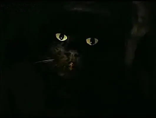 地下室的怪物剧照1