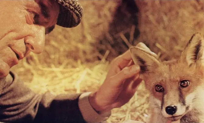 贝尔斯通之狐剧照1