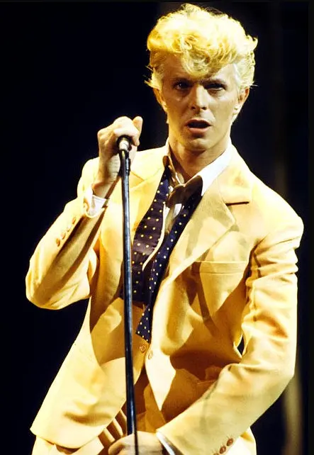 David Bowie: Serious Moonlight剧照2