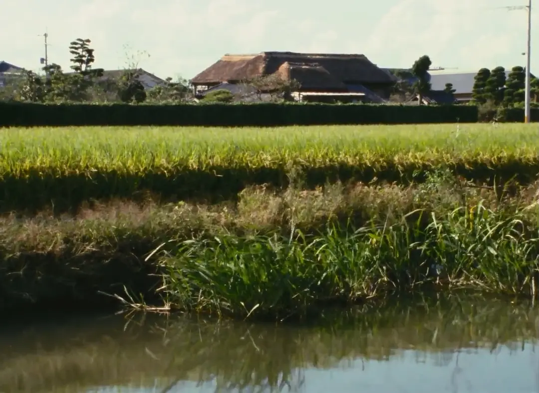 柳川堀割物语剧照2