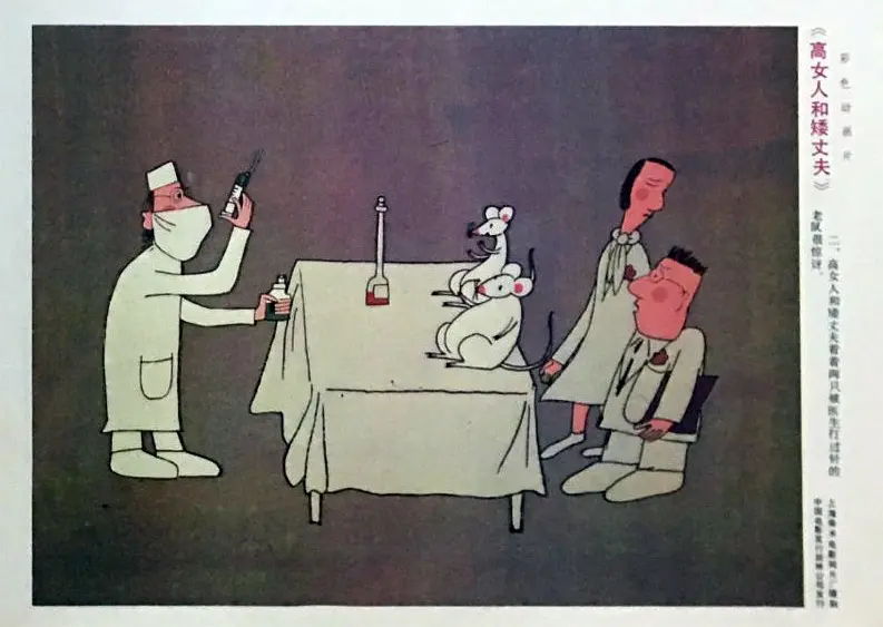 高女人和矮丈夫剧照1