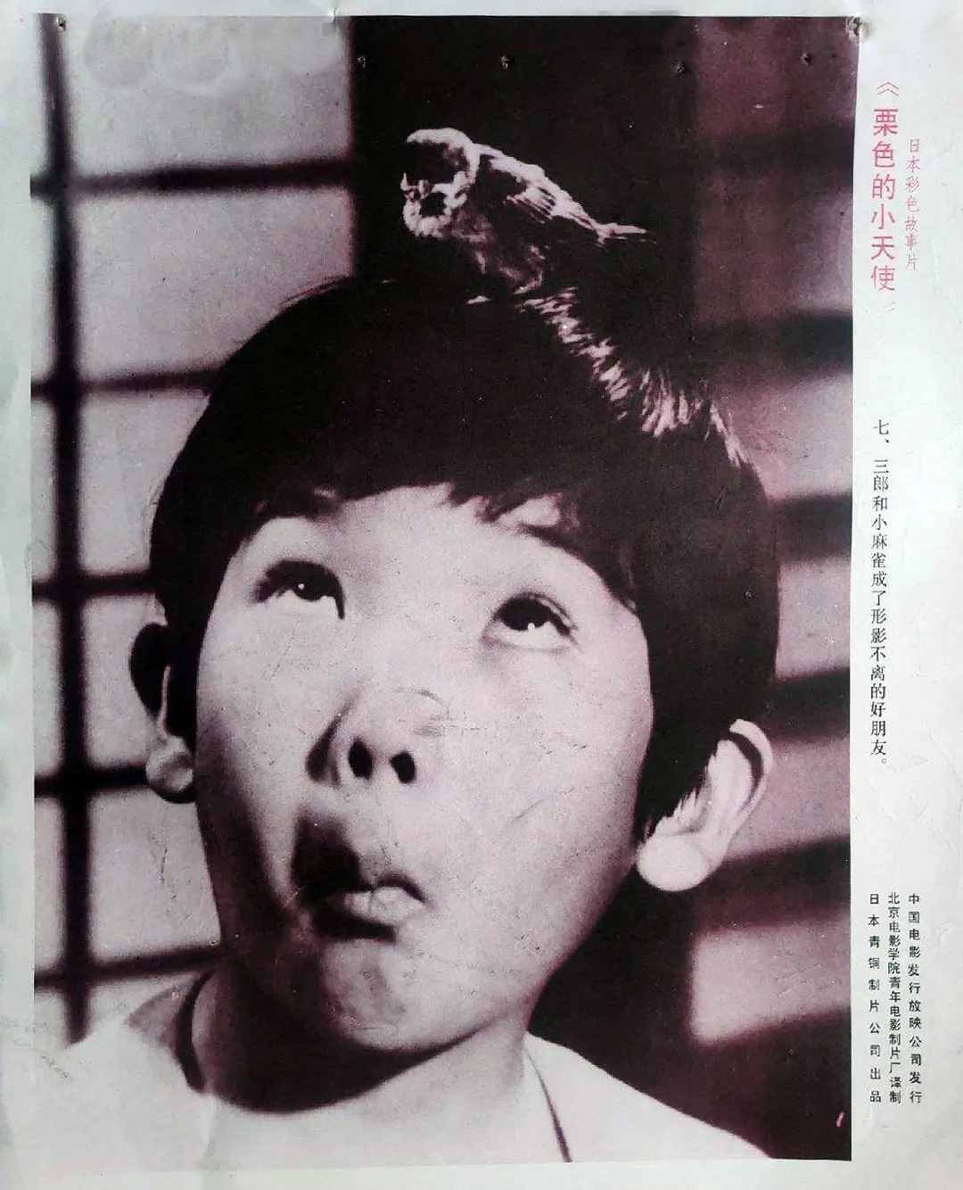 栗色的小天使剧照1