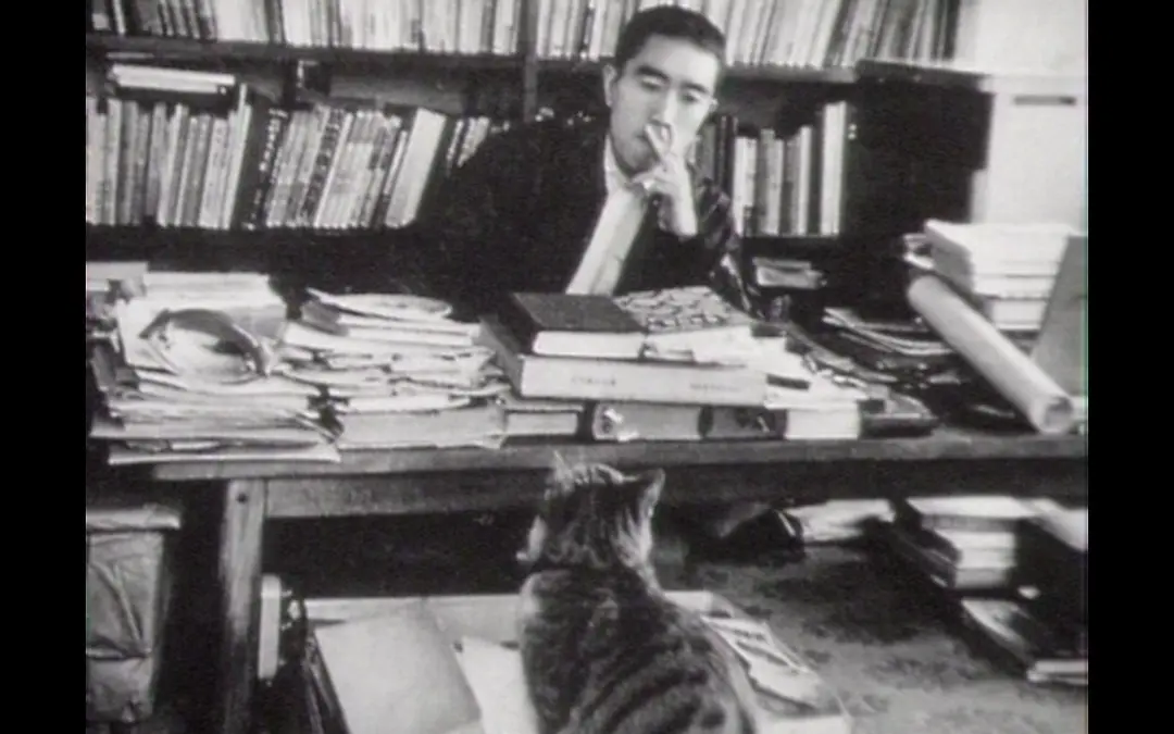 三岛由纪夫奇闻剧照1