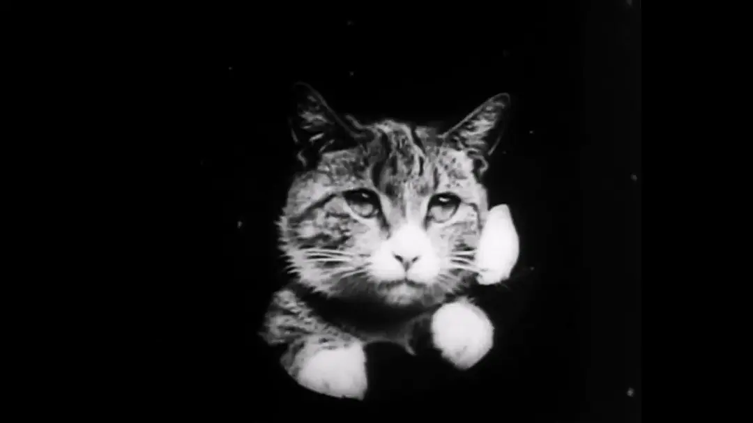 祖母的放大镜剧照1