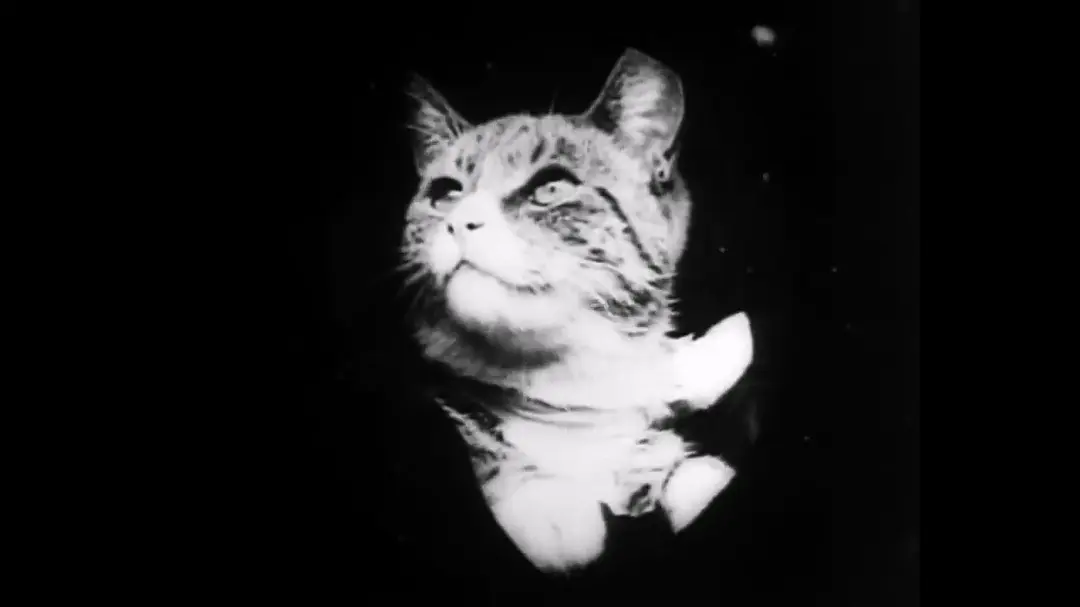 祖母的放大镜剧照3