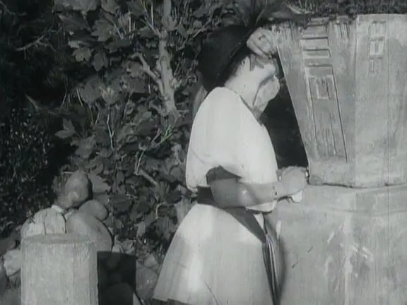 垂死的天鹅剧照2