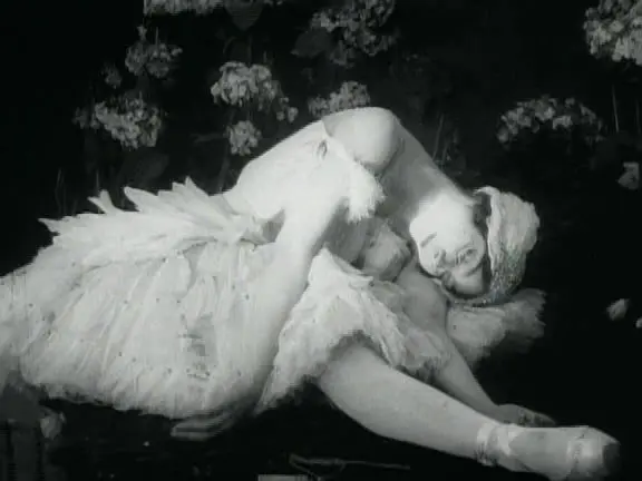 垂死的天鹅剧照3