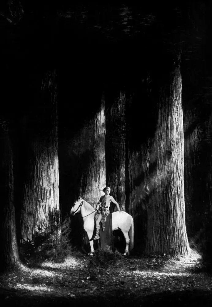 尼伯龙根：西格弗里德之死剧照1