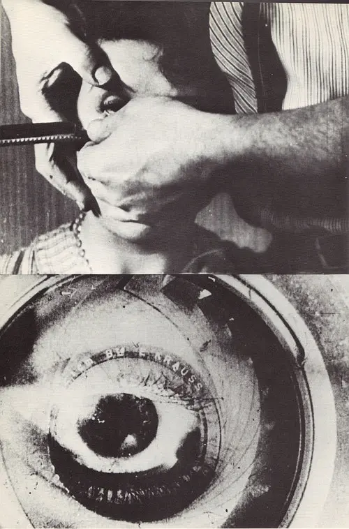 一条安达鲁狗剧照1