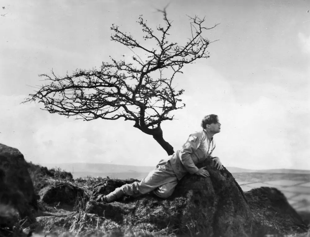 达特穆尔的小屋剧照3