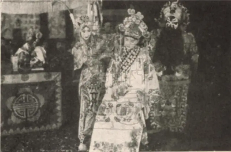 歌女红牡丹剧照2