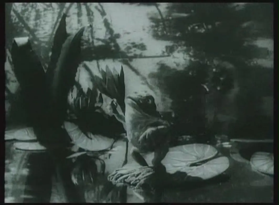 狐狸的故事剧照2