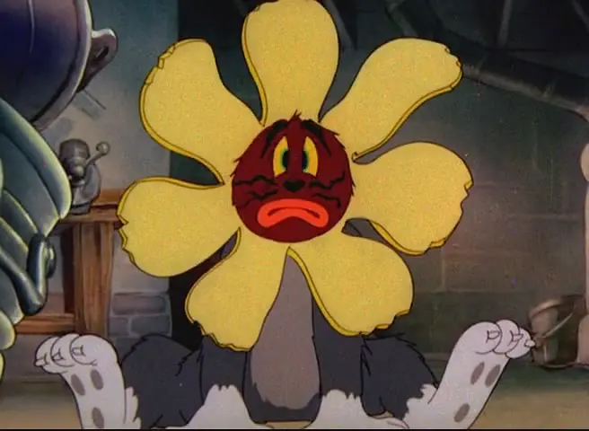 扬基都德鼠剧照2