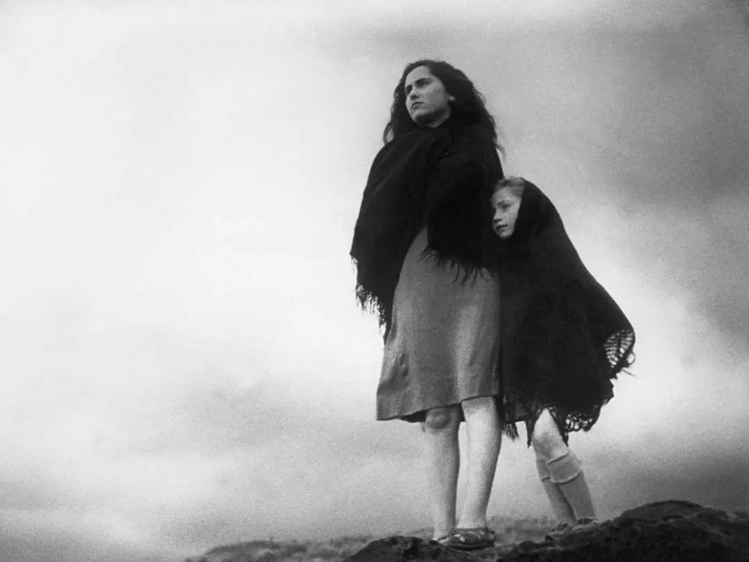 大地在波动剧照1