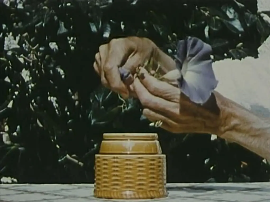 圣多-索斯比别墅剧照2