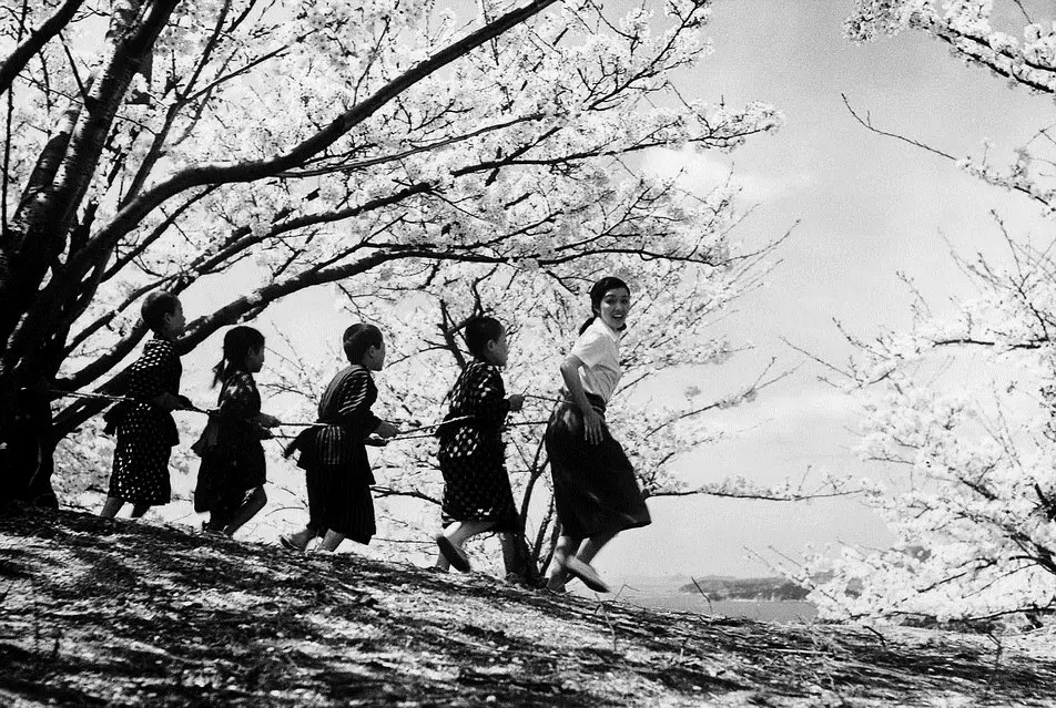 二十四只眼睛剧照1