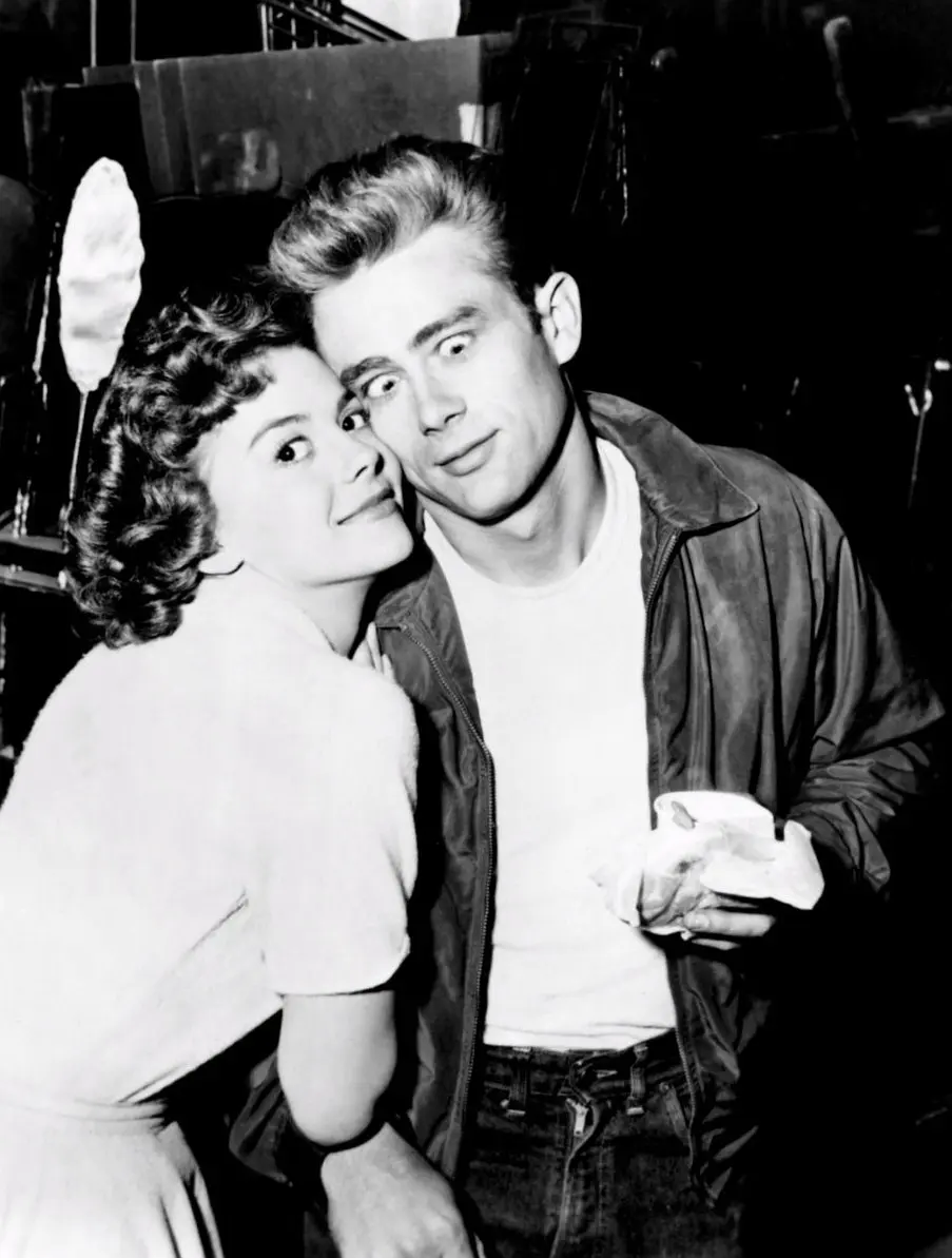 无因的反叛剧照3