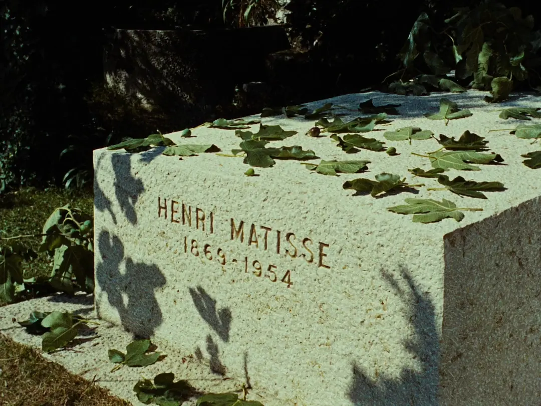 走近蓝色海岸剧照2