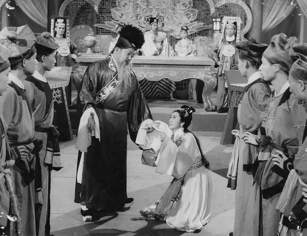 蝶影红梨记剧照1